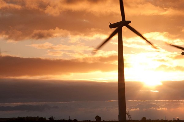 Insurers must make the move towards carbon neutral in 2022