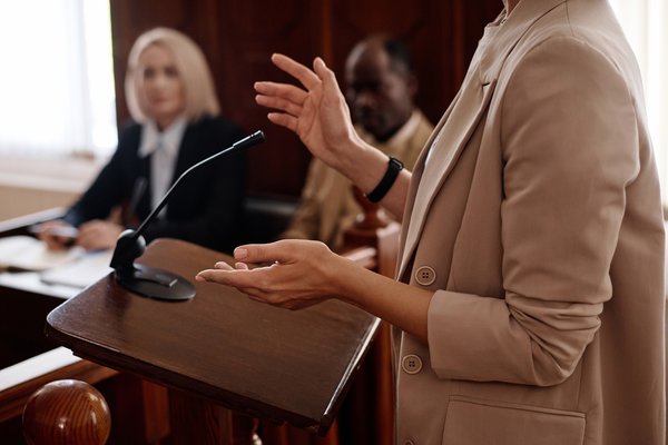 Expert witness